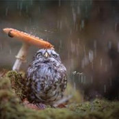 Jennifer Deer's photo