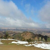 William White's photo