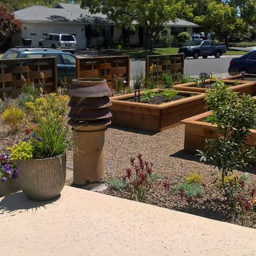 Edible Garden with Whimsy - Lawn removal project