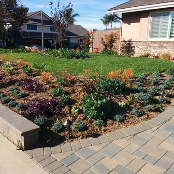 Drought Tolerant Succulent Renovation
