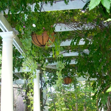 Wisteria vines and hanging baskets under the pergola