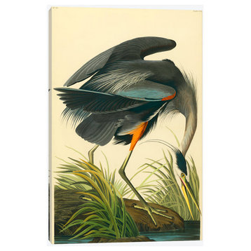 Great Blue Heron by John James Audubon Canvas Print, 26"x40"