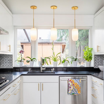 Bitterlake Addition and Remodel