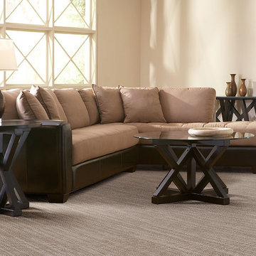 Dabbieri Collection