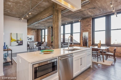 Example of a transitional home design design in Chicago