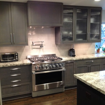 Willowbrook Kitchen Remodel