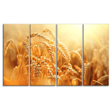 Ears of Golden Wheat Close up, Large Landscape Canvas Art, 48"x28", 4 Panels