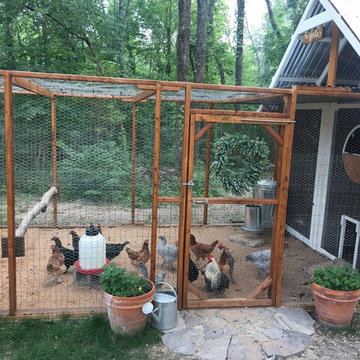 Chicken Fortress