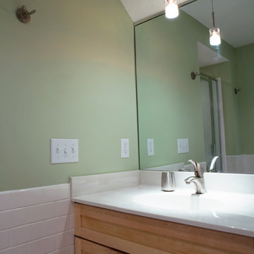 Lower Level Bathroom