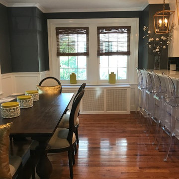Chestnut Hill Renovation