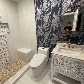 Danville Guest Bathroom remodel