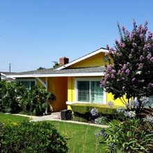 Exterior Ideas
