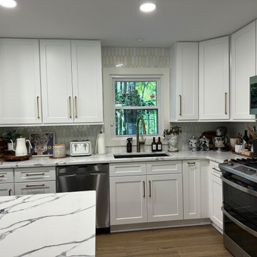 Main Level Renovations
