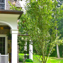 Portico