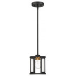 Nuvo Lighting - Payne 1-Light Mini Pendant, Black - Stylish and bold. Make an illuminating statement with this fixture. An ideal lighting fixture for your home.