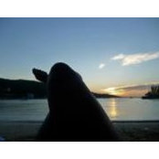 Kanika Harris's photo