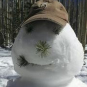 Foto de Doug Leecock
