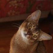 Ann Bowman's photo