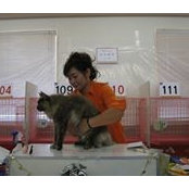 Hiromi Osada's photo