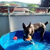 Foto di Heike Hock