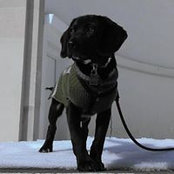 Kelly Bush's photo