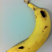 Will Poole's photo