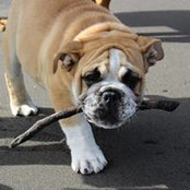 Marvin Coe's photo