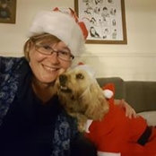 Foto von Lisa Collins