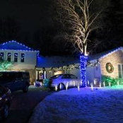 Kim Warden's photo