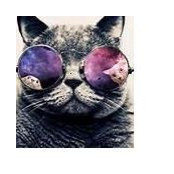 Syndy Littman's photo