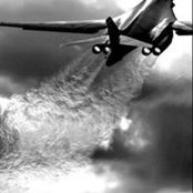 Frank Molnar Jr.'s photo