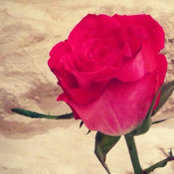 Adele Ignatuk's photo