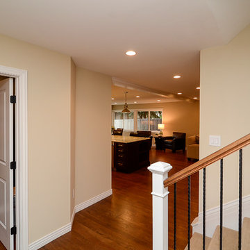 Belcaro Remodel