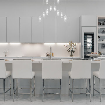 Sleek Elegance - Full Matte Lacquer Kitchen Project