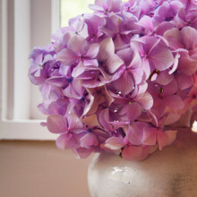 Liesl Pottas's Ideas