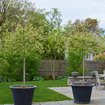 Secret Garden Oasis