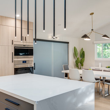 Modern House
