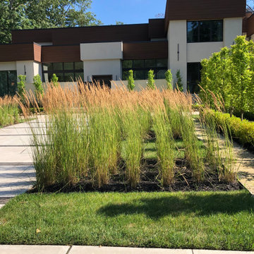 Lakewood modern