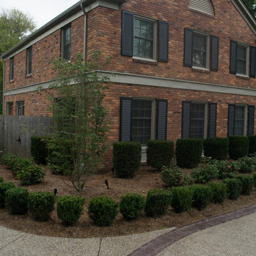 Front Yard Boxwood and Hardscape