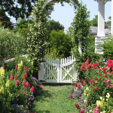 NC garden