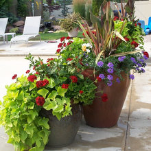 summer flower containers