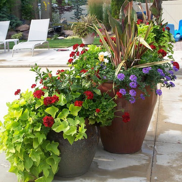 Summer Container Planting