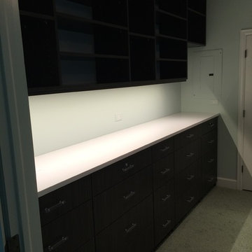 New Dressing room / Bath Remodel
