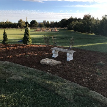 Minimal budget friendly flowerbed install