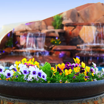 Custom Pools, Stream, Water Feature
