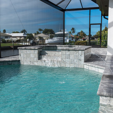 Tarpon - Fort Myers, Florida