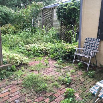 In search of the Natural Garden