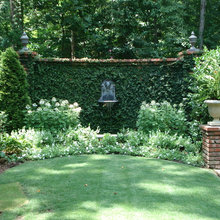 ivy wall