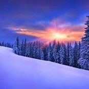 Foto von Mushegh Andreasyan