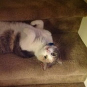Lynn Alderman's photo